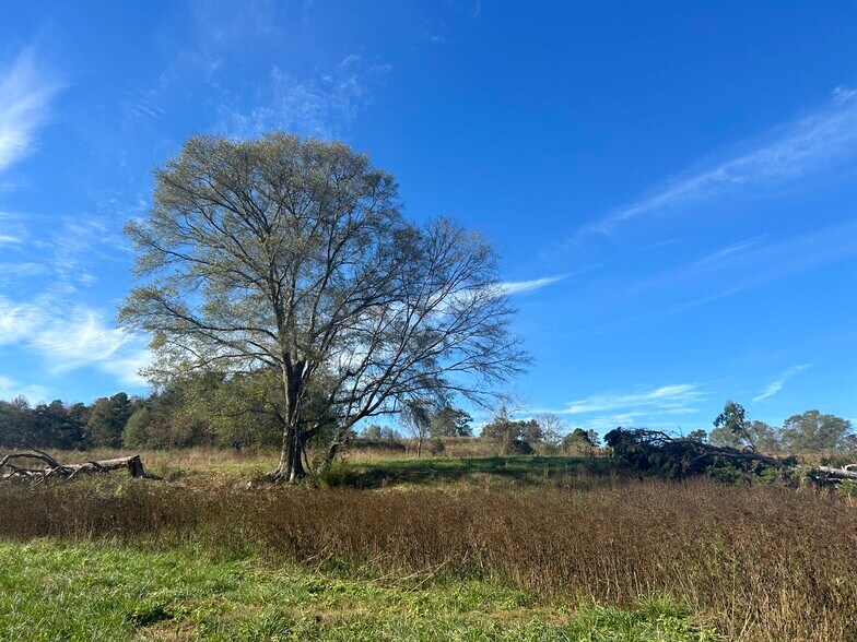 More Photos Of 520 N Fish Trap Rd, Easley Land For Sale