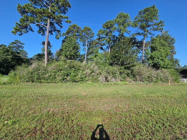 More Photos Of 0 Honea Egypt, Magnolia Land For Sale