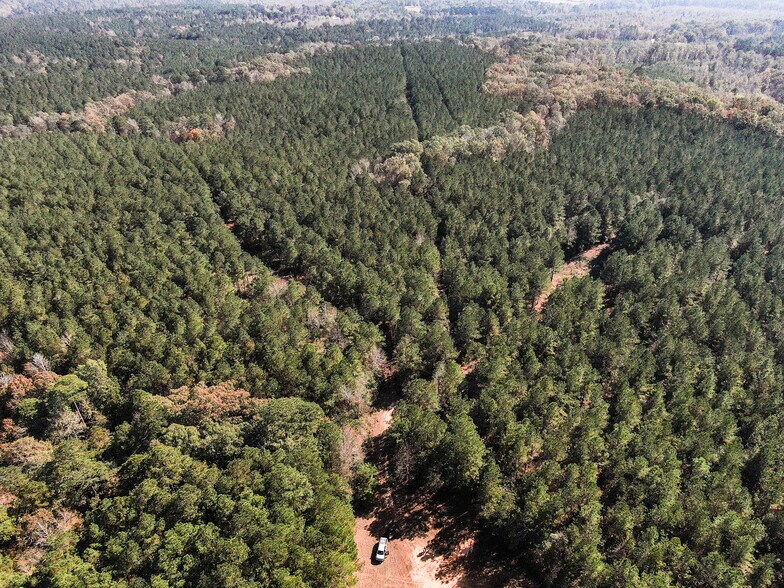 Primary Photo Of Airline Rd., Dubach Land For Sale