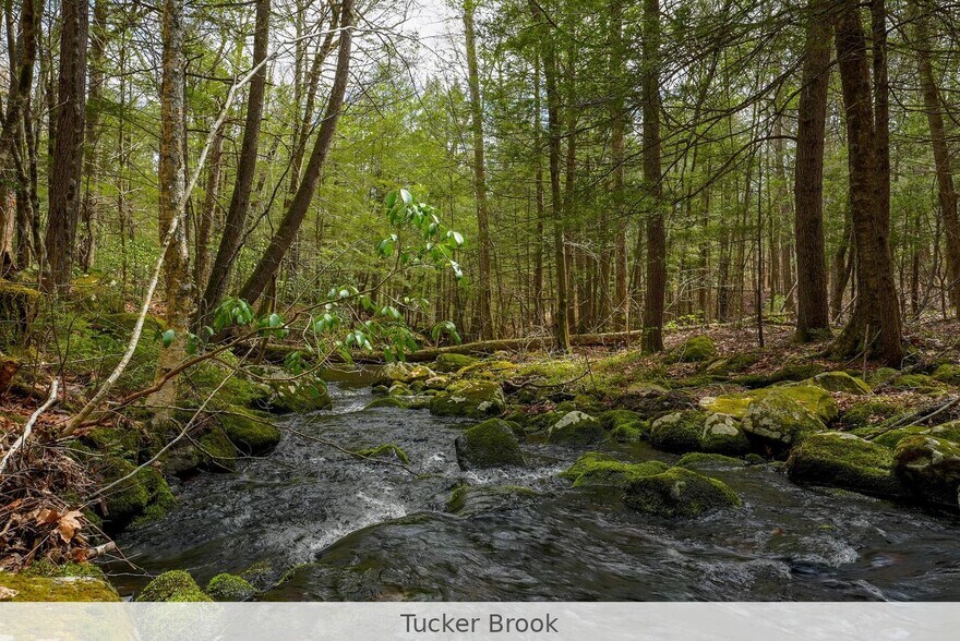 More Photos Of 291 Fomer Road, Southampton Land For Sale