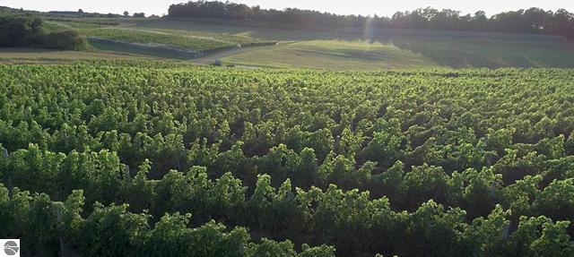 More Photos Of 56 French Rd, Lake Leelanau Winery Vineyard For Sale