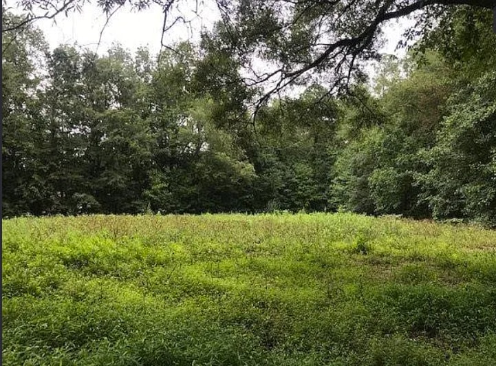 More Photos Of 901 Mack Todd Rd, Zebulon Land For Sale