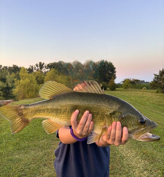 More Photos Of , Marshville Unknown For Sale