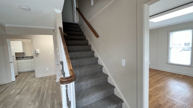 More Photos Of 403 N 35th St, Morehead City Office For Sale