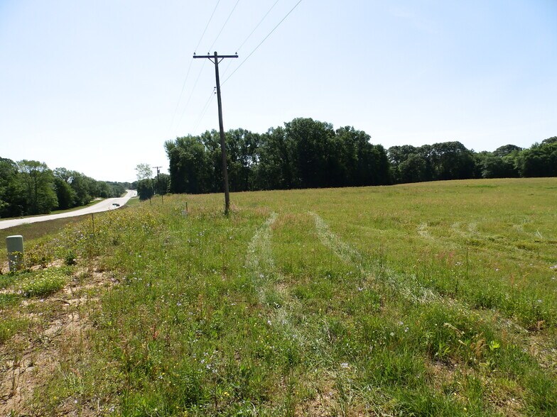 More Photos Of 3168 US Highway 175, Frankston Land For Sale