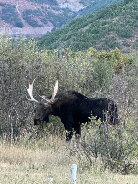 More Photos Of 14816 Austin Cir, Huntsville Specialty For Sale