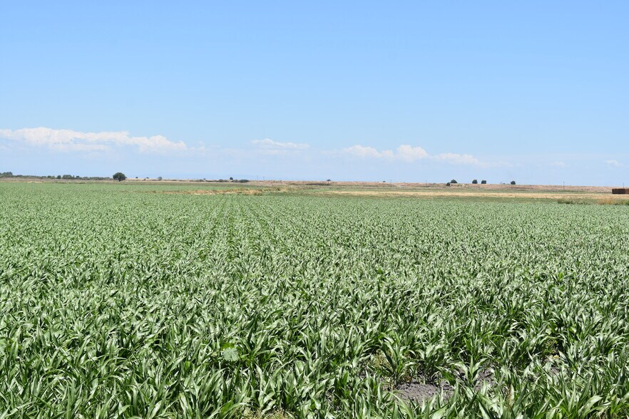 More Photos Of 16637 Tyler Island Rd, Isleton Land For Sale