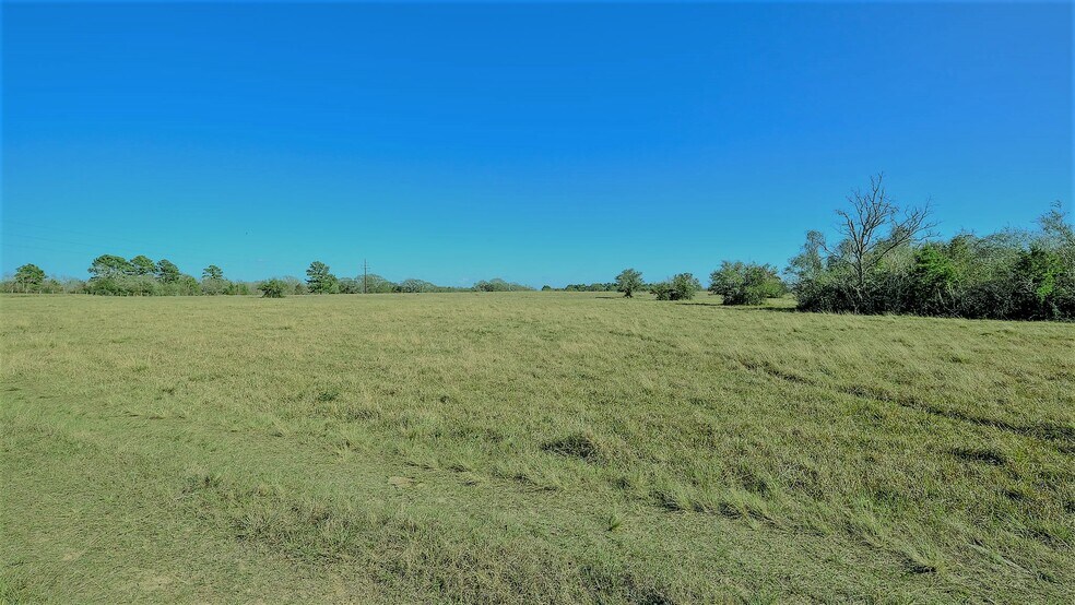 More Photos Of 26266 Fields Store Rd., Waller Land For Sale