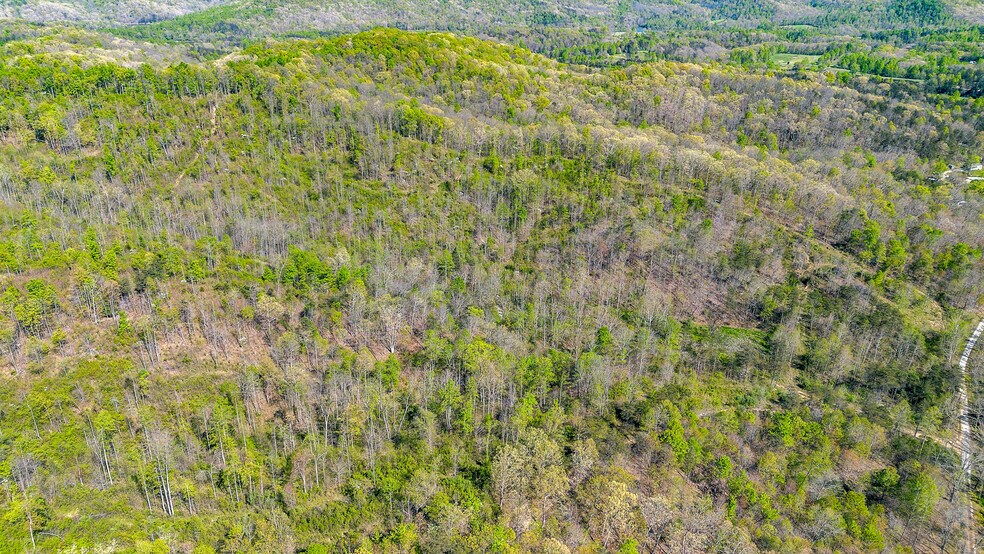 More Photos Of Knipp Branch, Grayson Land For Sale