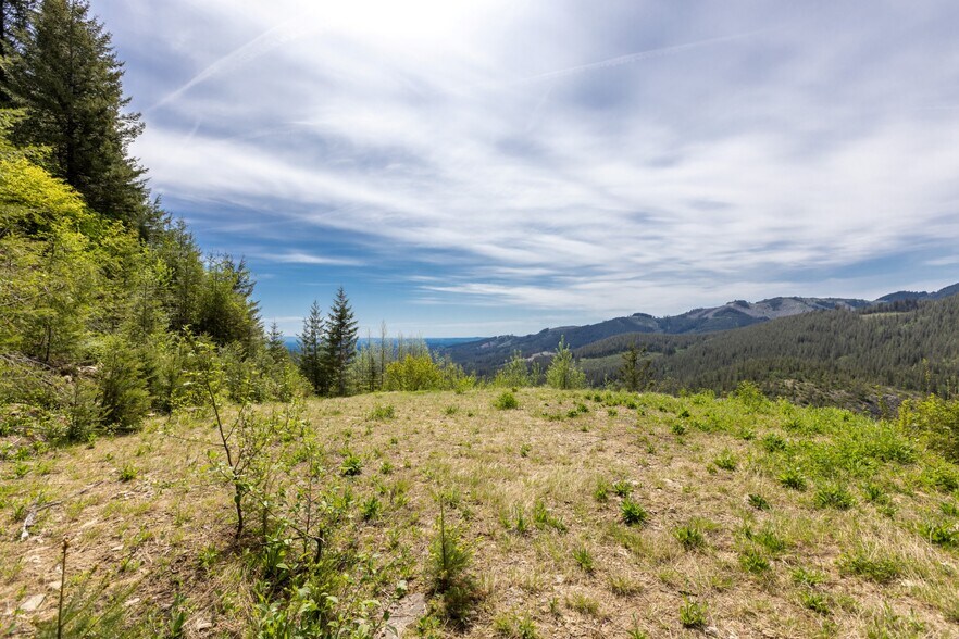 More Photos Of 0 Snag Mountain Road, Washougal Land For Sale