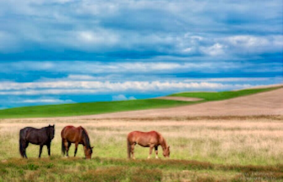 More Photos Of 601 S Main St, Lacrosse Land For Sale