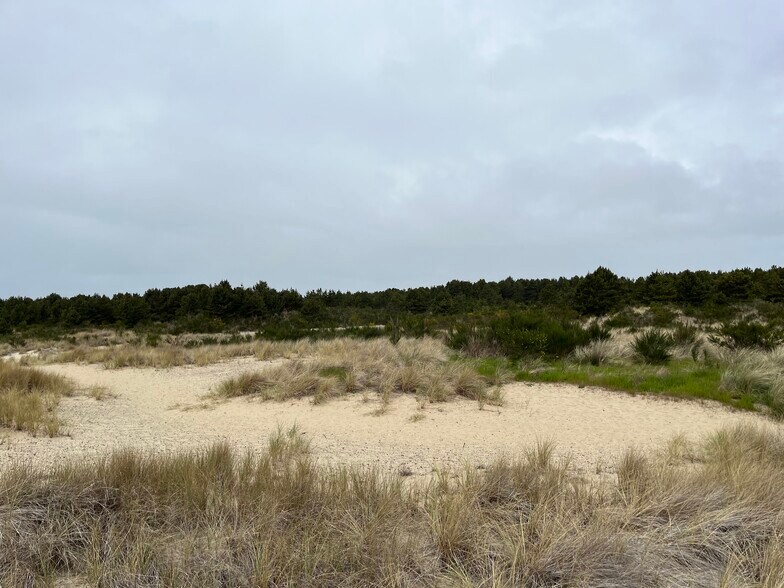 More Photos Of Pacific View Dr, Florence Land For Sale