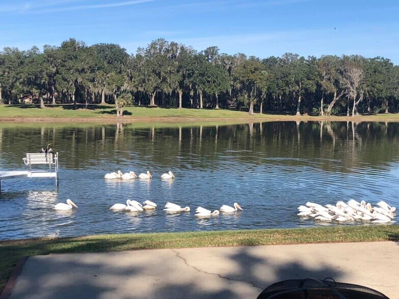 More Photos Of 15400 S US Highway 301, Summerfield Office For Sale