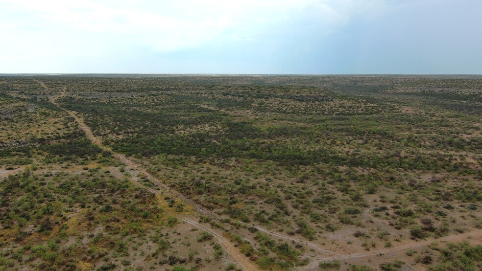 More Photos Of 0100 Cactus Rose Ln, Ozona Land For Sale