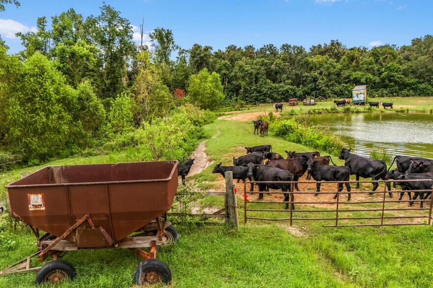 More Photos Of 1110 US Highway 280 W, Reidsville Specialty For Sale