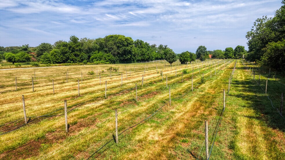 More Photos Of 1683 Peach Basket Rd, Felton Winery Vineyard For Sale