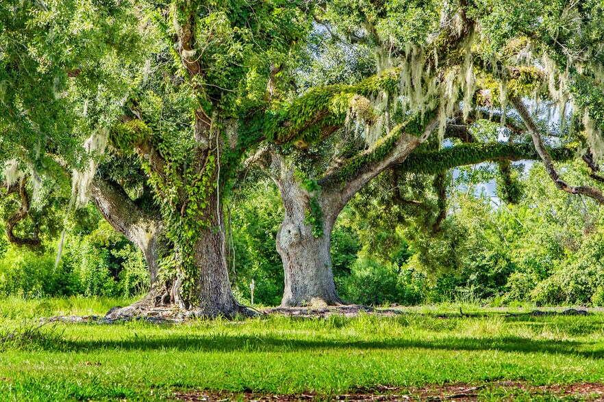 More Photos Of Progressive, Houma Land For Sale