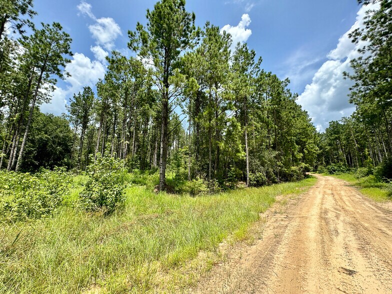 More Photos Of 0 Slim Palmer Road, Zavalla Land For Sale