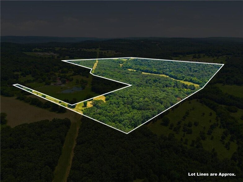 More Photos Of 11373 Colcleasure Rd, Fayetteville Land For Sale