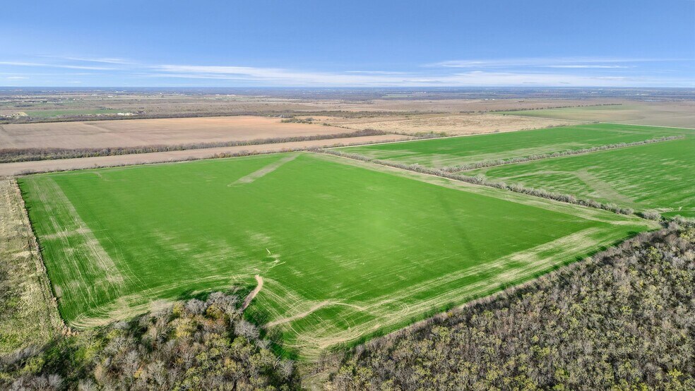 More Photos Of TBD Wall St Rd, Gunter Land For Sale