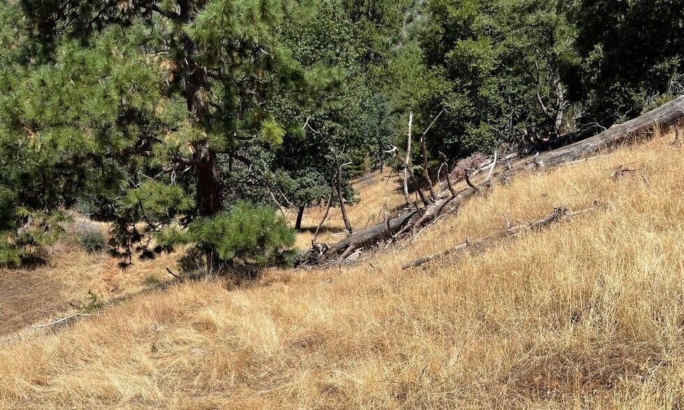 More Photos Of 00000 Forrest Road 1N19, Tuolumne Land For Sale