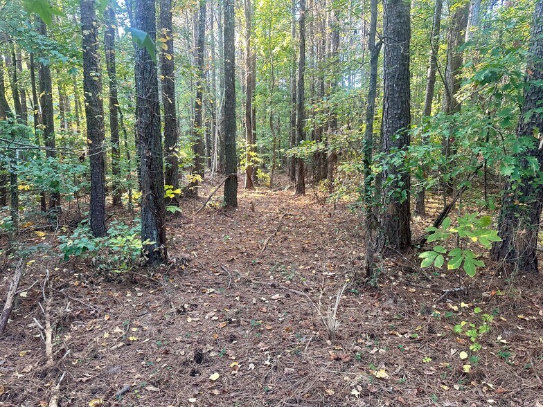 More Photos Of 00 NE Hwy 411, Rydal Land For Sale