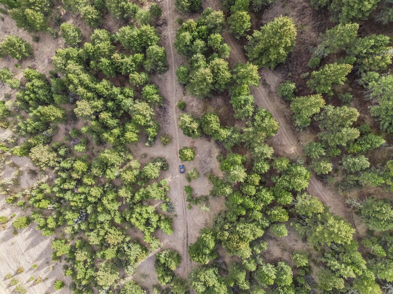 More Photos Of NHN (Parcel A-2) Suce Creek Road, Livingston Land For Sale