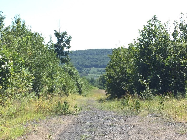 More Photos Of 12 S Tremont Rd, Tremont Land For Lease