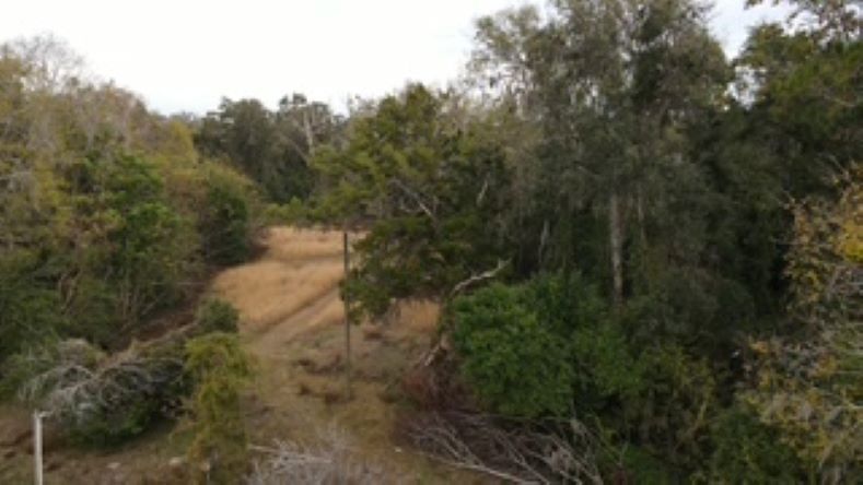 More Photos Of 10602 NW 143rd St, Alachua Land For Sale