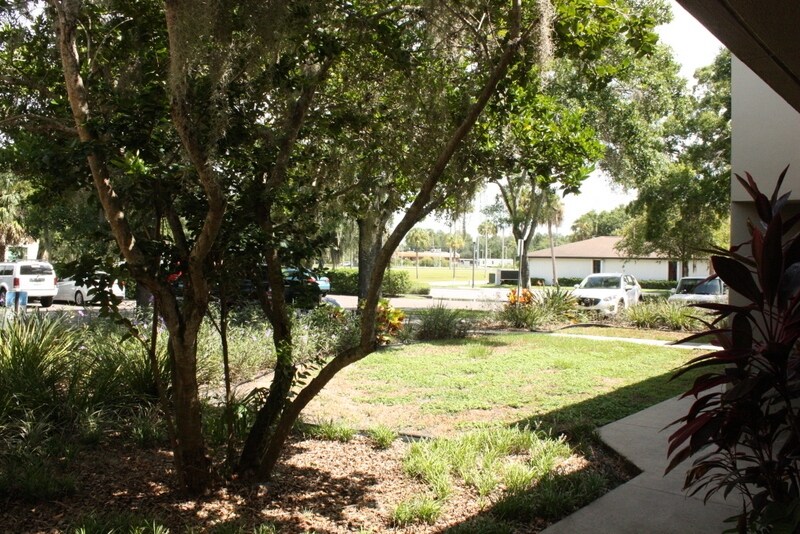 More Photos Of 120 State St E, Oldsmar Medical For Lease