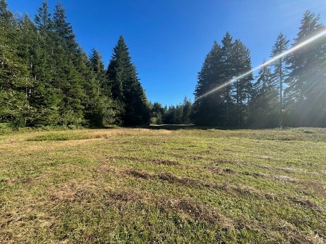 More Photos Of 3190 E Hoquiam Rd, Hoquiam Land For Sale