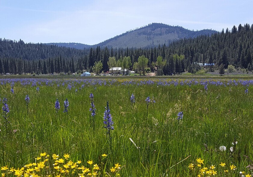 More Photos Of 521 Campbell Hot Springs Rd, Sierraville Hotel For Sale