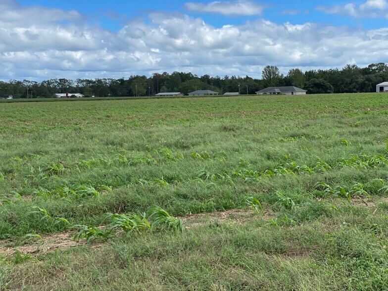 More Photos Of 5700 Pine Forest Rd, Walnut Hill Land For Sale