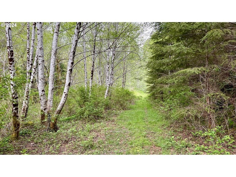 More Photos Of 18-10-00-00-01300500, Mapleton Land For Sale