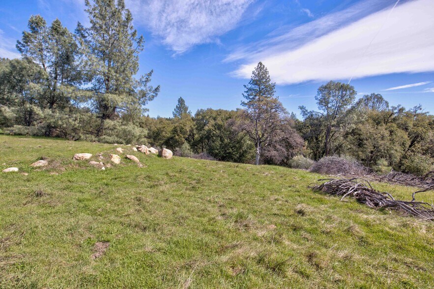 More Photos Of 18800 Charleston Rd, Volcano Land For Sale