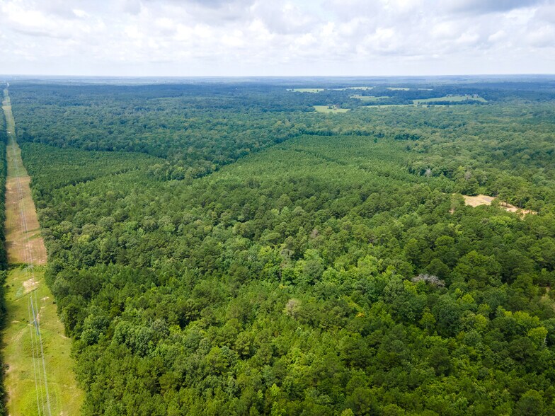 More Photos Of 2539 FM 995, Atlanta Land For Sale