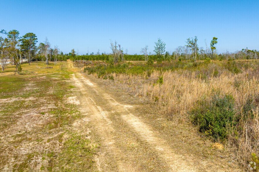 More Photos Of 0 U.S. HWY 59, Loxley Land For Sale