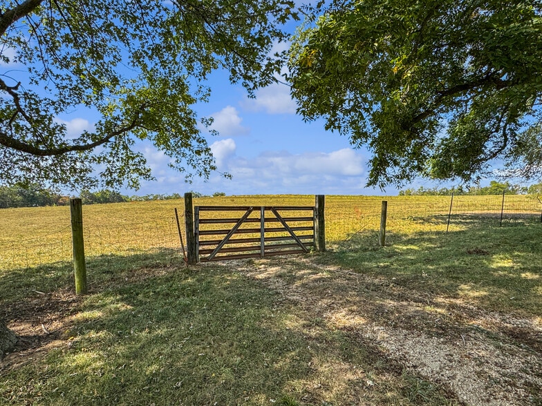 More Photos Of 399 Brinker Trl, Washington Land For Sale