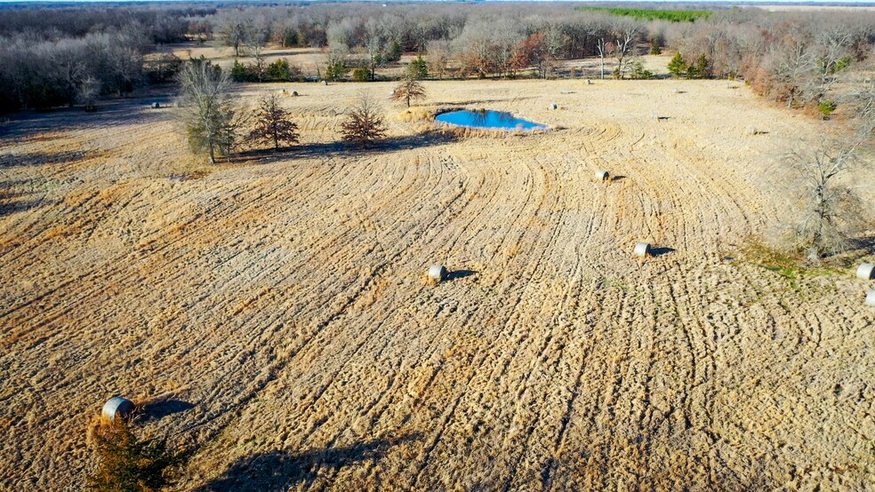 More Photos Of 1200 County 1255 rd, Detroit Land For Sale