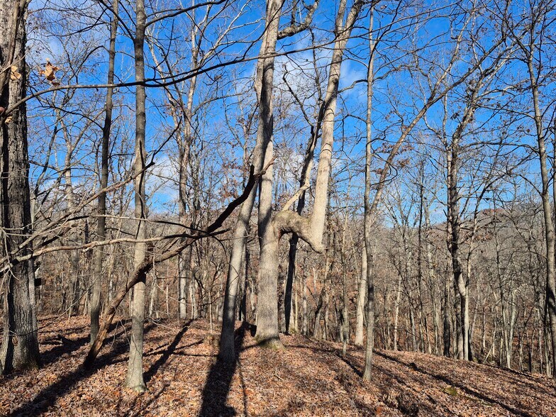 More Photos Of Logan School Rd. (30.2+/- Acres), New Florence Land For Sale