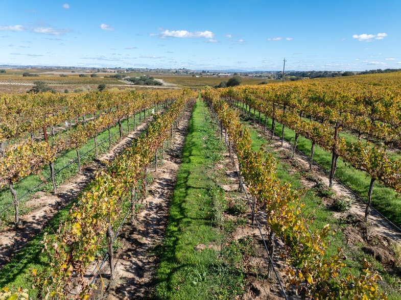 More Photos Of 7790 Airport Rd, Paso Robles Land For Sale