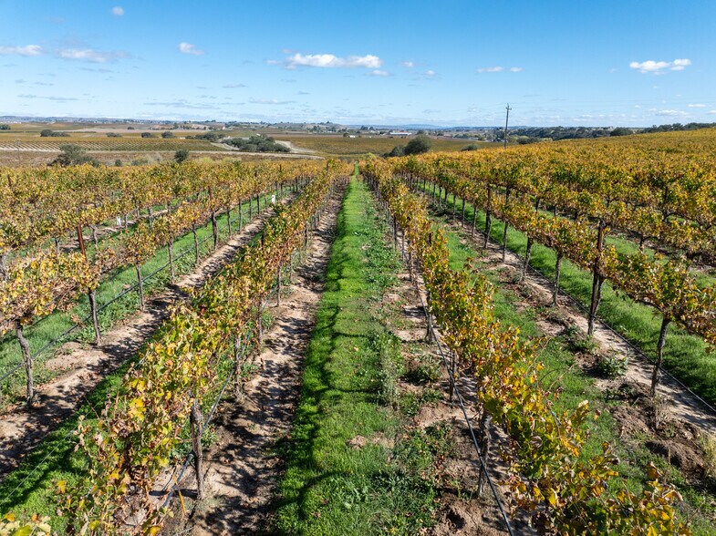 More Photos Of 7790 Airport Rd, Paso Robles Land For Sale