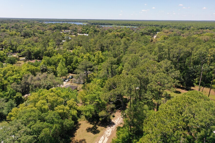 More Photos Of 638 Walnut St, Welaka Land For Sale