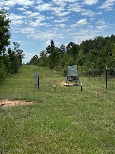 More Photos Of Dynamic Webster Parish, Sarepta Land For Sale