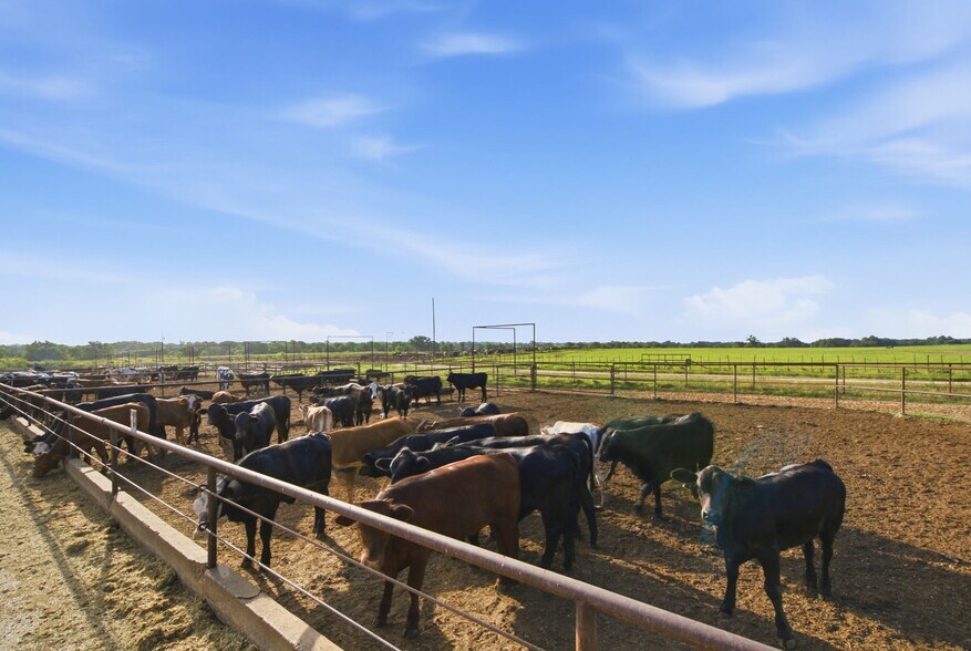 More Photos Of 2580 FM 847, Stephenville Land For Sale