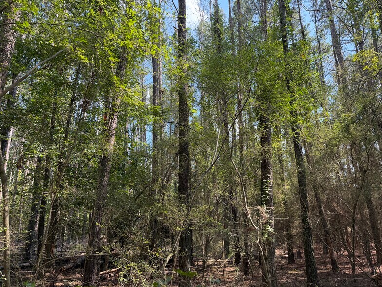 More Photos Of 107 Popham rd, Taylorsville Land For Sale
