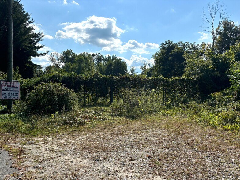 More Photos Of 10 River Rd S, Cornwall Bridge Land For Sale