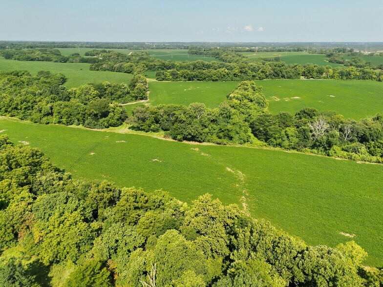 More Photos Of Walnut Hill Ln. (36.31+/- Acres), Elsberry Land For Sale