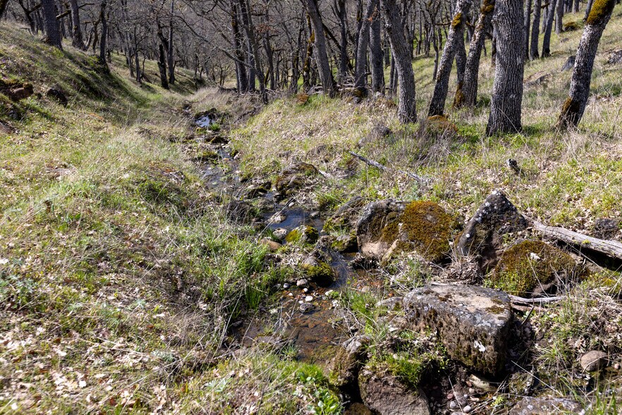 More Photos Of 60 Hartwig Road, Lyle Land For Sale