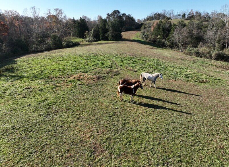 More Photos Of 23765 Charleston Rd, Leon Land For Sale